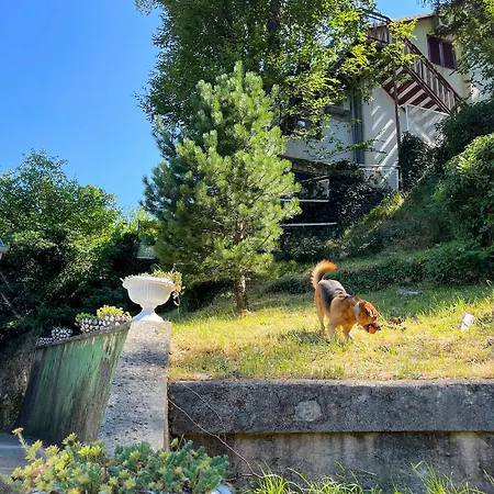 Large For Families & Friends 5 Bedrooms Near Bribir (Primorje-Gorski Kotar)