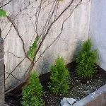 Large For Families & Friends 5 Bedrooms Near Bribir (Primorje-Gorski Kotar)