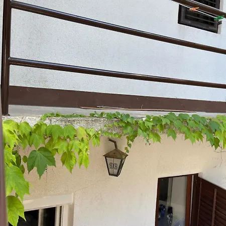 Casa Hedera - Peaceful And Surrounded By Greenery *